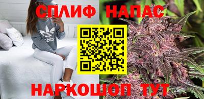 гашиш Кингисепп